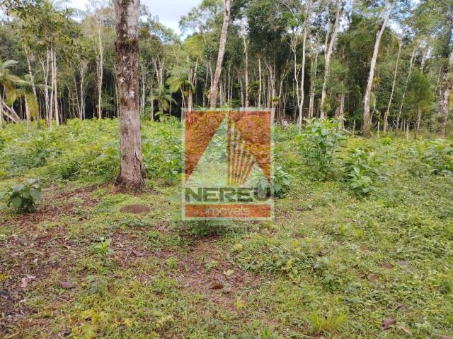 Terreno para Venda em Juquitiba - 4