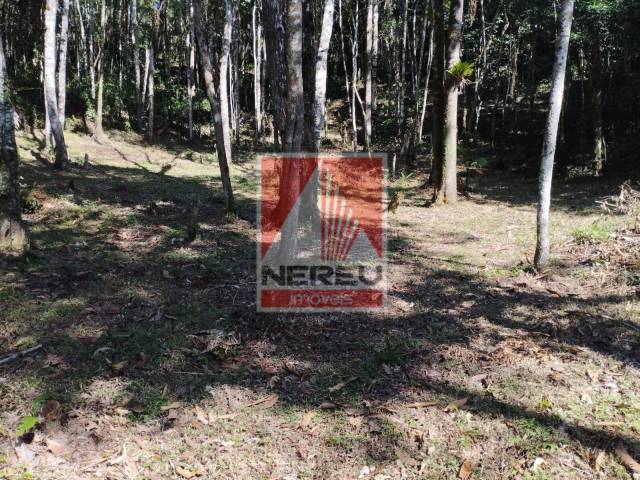 Terreno para Venda em Juquitiba - 5