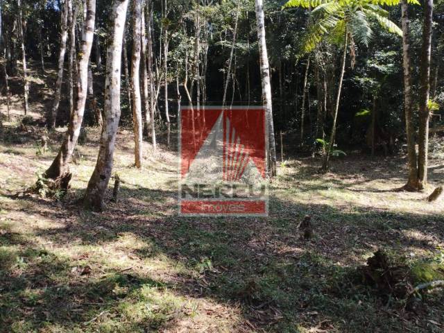 Terreno para Venda em Juquitiba - 4