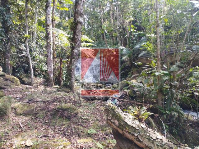 Sítio para Venda em Juquitiba - 4