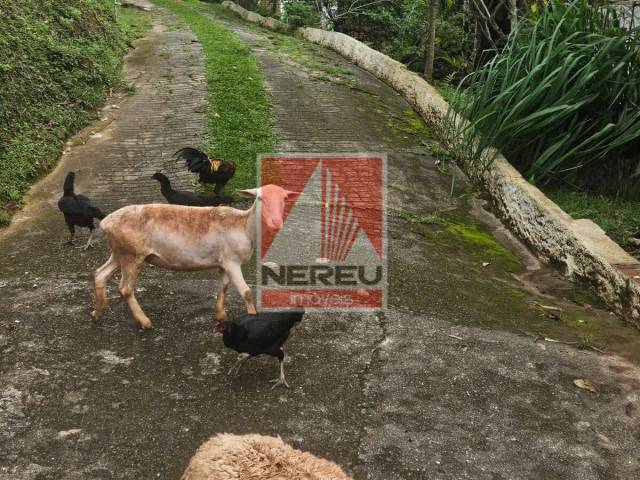 Chácara para Venda em Juquitiba - 5