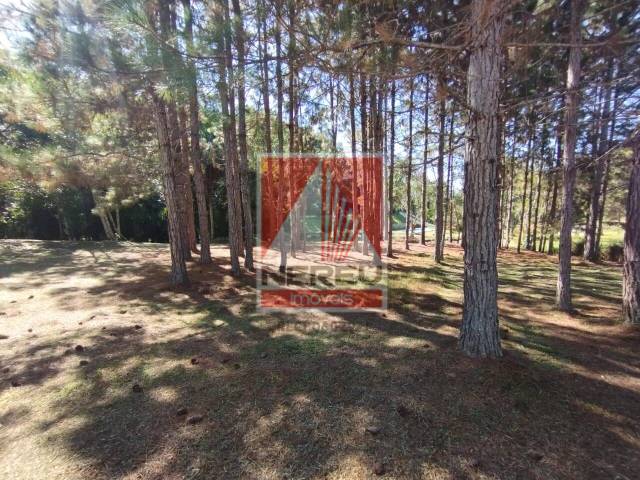 Chácara para Venda em Juquitiba - 5