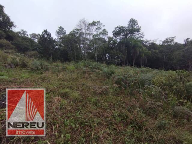 #1847 - Área para Venda em Juquitiba - SP - 3