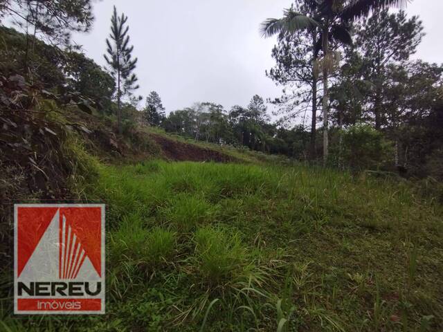 #1847 - Área para Venda em Juquitiba - SP - 2