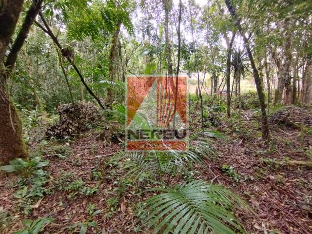 Terreno para Venda em Juquitiba - 5