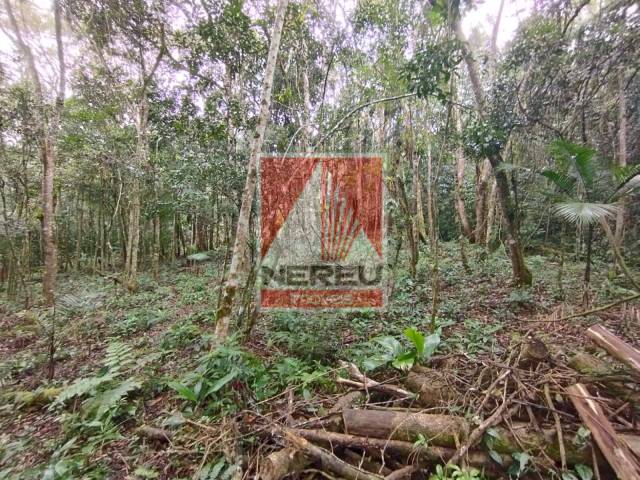 Terreno para Venda em Juquitiba - 4