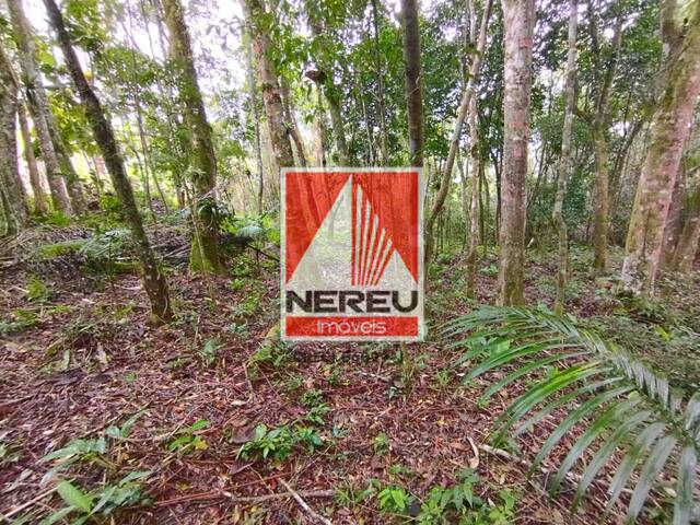 #1479 - Terreno para Venda em Juquitiba - SP - 3