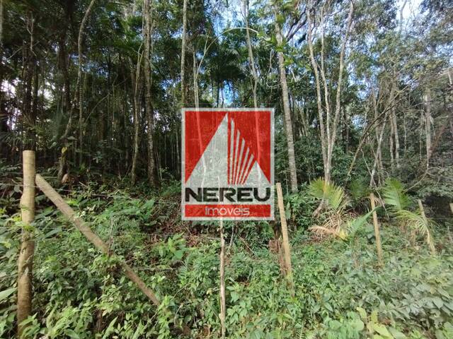 #1877 - Terreno para Venda em Juquitiba - SP - 3