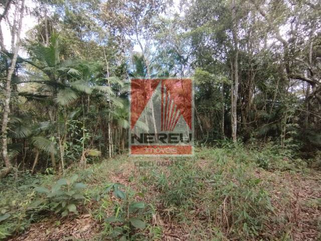 Terreno para Venda em Juquitiba - 5