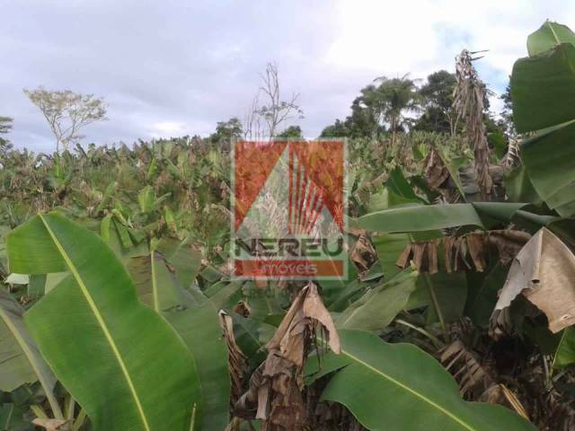Sítio para Venda em Juquitiba - 4