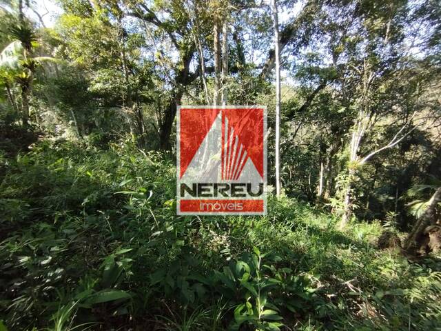 #1881 - Terreno para Venda em Juquitiba - SP - 3