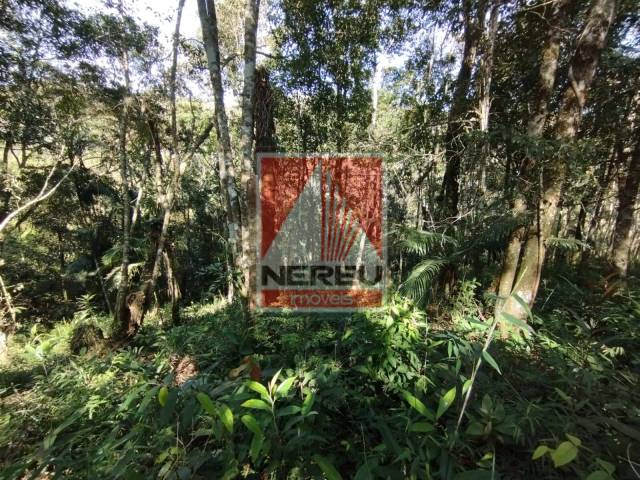 Terreno para Venda em Juquitiba - 4