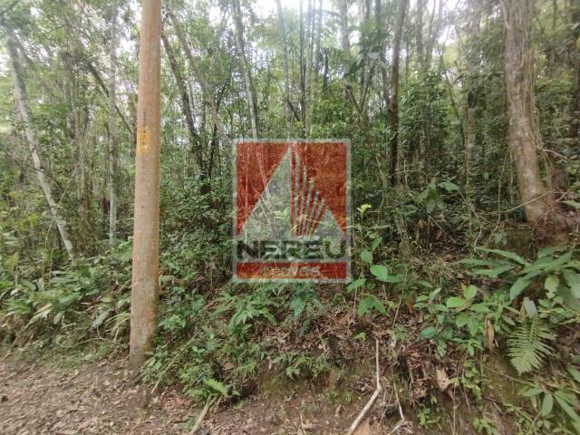 Área para Venda em Juquitiba - 4