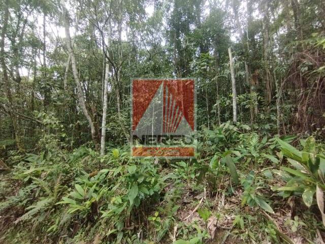 Área para Venda em Juquitiba - 5