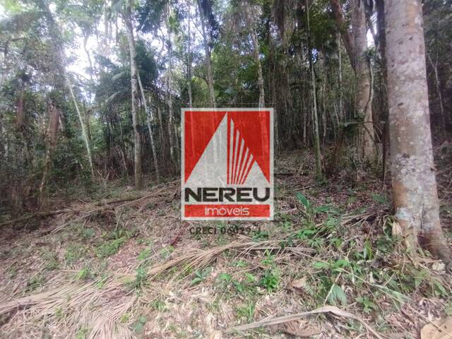 #1889 - Área para Venda em Juquitiba - SP - 2