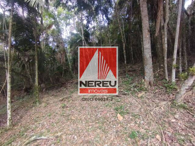 #1889 - Área para Venda em Juquitiba - SP - 3
