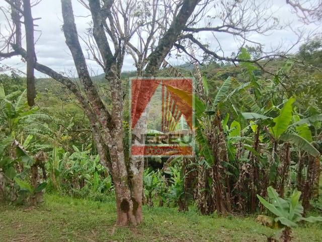 Sítio para Venda em Juquitiba - 4