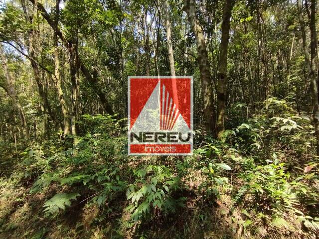 #1891 - Área para Venda em Juquitiba - SP - 3