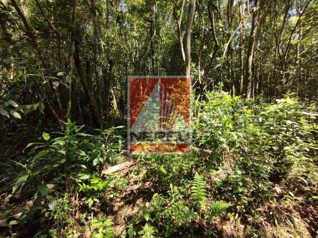 Área para Venda em Juquitiba - 5