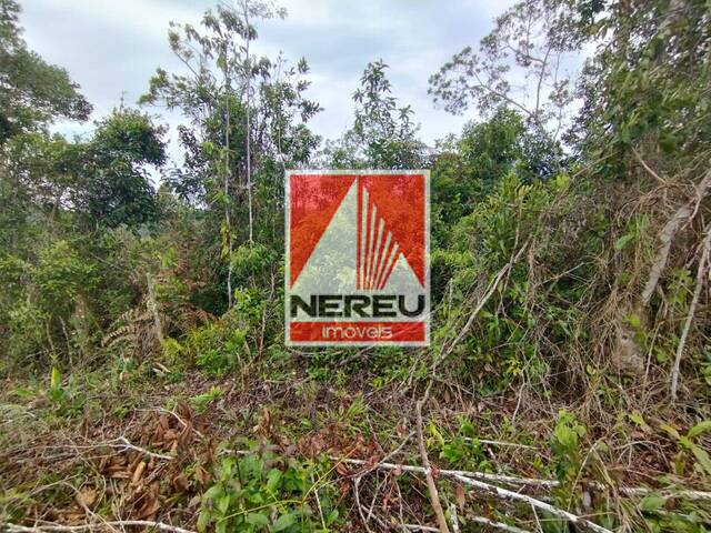 #1893 - Área para Venda em Juquitiba - SP - 3