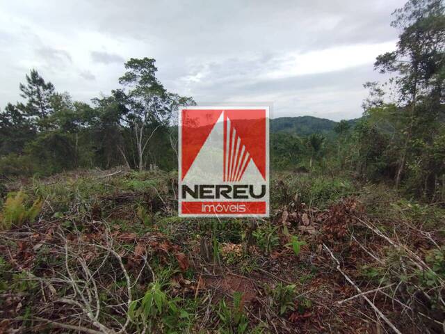 #1893 - Área para Venda em Juquitiba - SP - 2