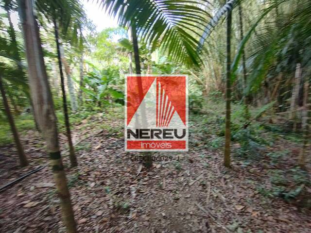 #1897 - Chácara para Venda em Juquitiba - SP - 2