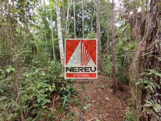 #1907 - Chácara para Venda em Juquitiba - SP - 3