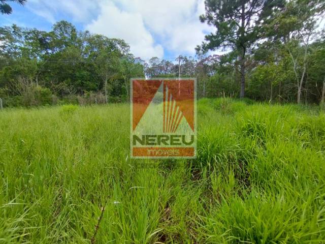 Área para Venda em Juquitiba - 5