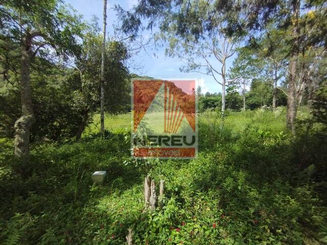 #1920 - Sítio para Venda em Juquitiba - SP - 2