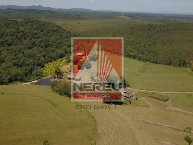 Fazenda para Venda em Iguape - 4