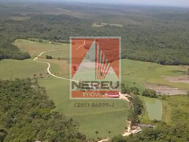#1930 - Fazenda para Venda em Iguape - SP