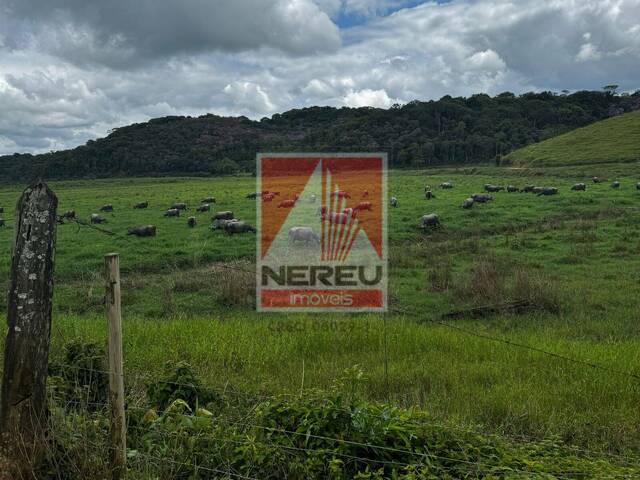 #1931 - Fazenda para Venda em Registro - SP