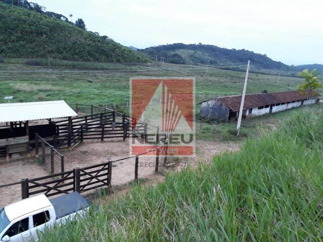 Fazenda para Venda em Iguape - 5