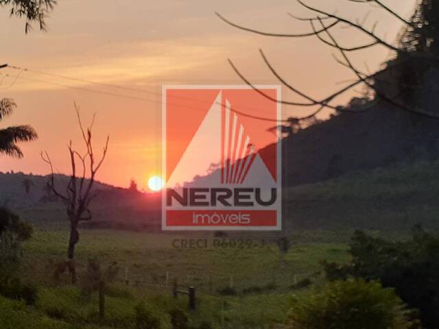 #1932 - Fazenda para Venda em Iguape - SP