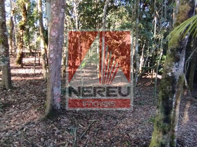 Área para Venda em Juquitiba - 3