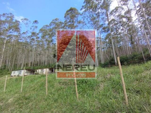 Terreno para Venda em Juquitiba - 3