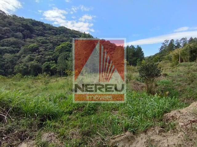Terreno para Venda em Juquitiba - 4