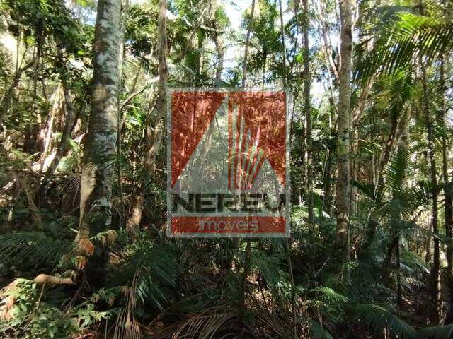 #1961 - Área para Venda em Juquitiba - SP