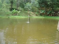 Sítio para Venda em Miracatu - 1